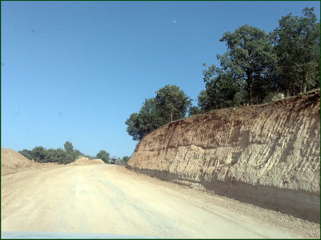 ساخت سه تونل برای قطع نشدن درختان جاده گلوگاه به دامغان