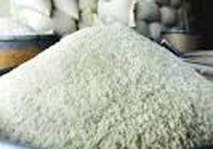 ۳۵ روز دیگر تا خودنمایی برنج های مازندران
