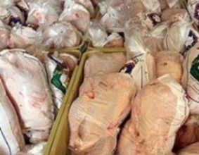 ۳.۵ تن مرغ تلفاتی در قائمشهر کشف شد