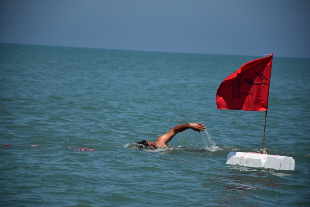 مسابقات شنای آب‌های آزاد در فریدونکنار+تصاویر