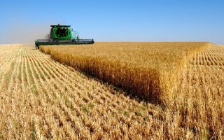 لزوم توسعه صنایع تبدیلی کشاورزی در مازندران و نقش آن در اقتصاد مقاومتی