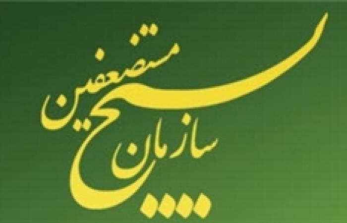 قاسم حبیب‌زاده معاون سیاسی سازمان بسیج مستضعفین شد