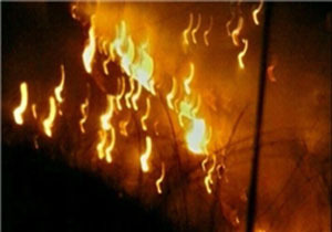آتش‌سوزی ۳۲ هکتاری در مراتع شهرستان طارم/ تلاش برای شناسایی عاملان آتش‌سوزی