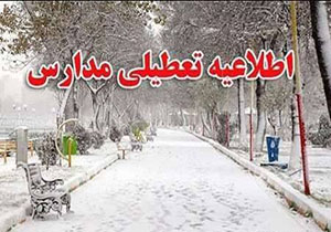 بارش برف باعث تعطیلی مدارس برخی مناطق کرمان برای دومین روز شد