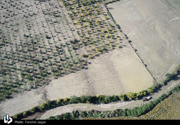 تصاویر/ خسارات سیل گلوگاه به بخش کشاورزی
