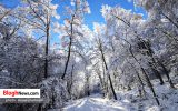 تصاویر/ بارش برف زمستانی در ارتفاعات گلوگاه